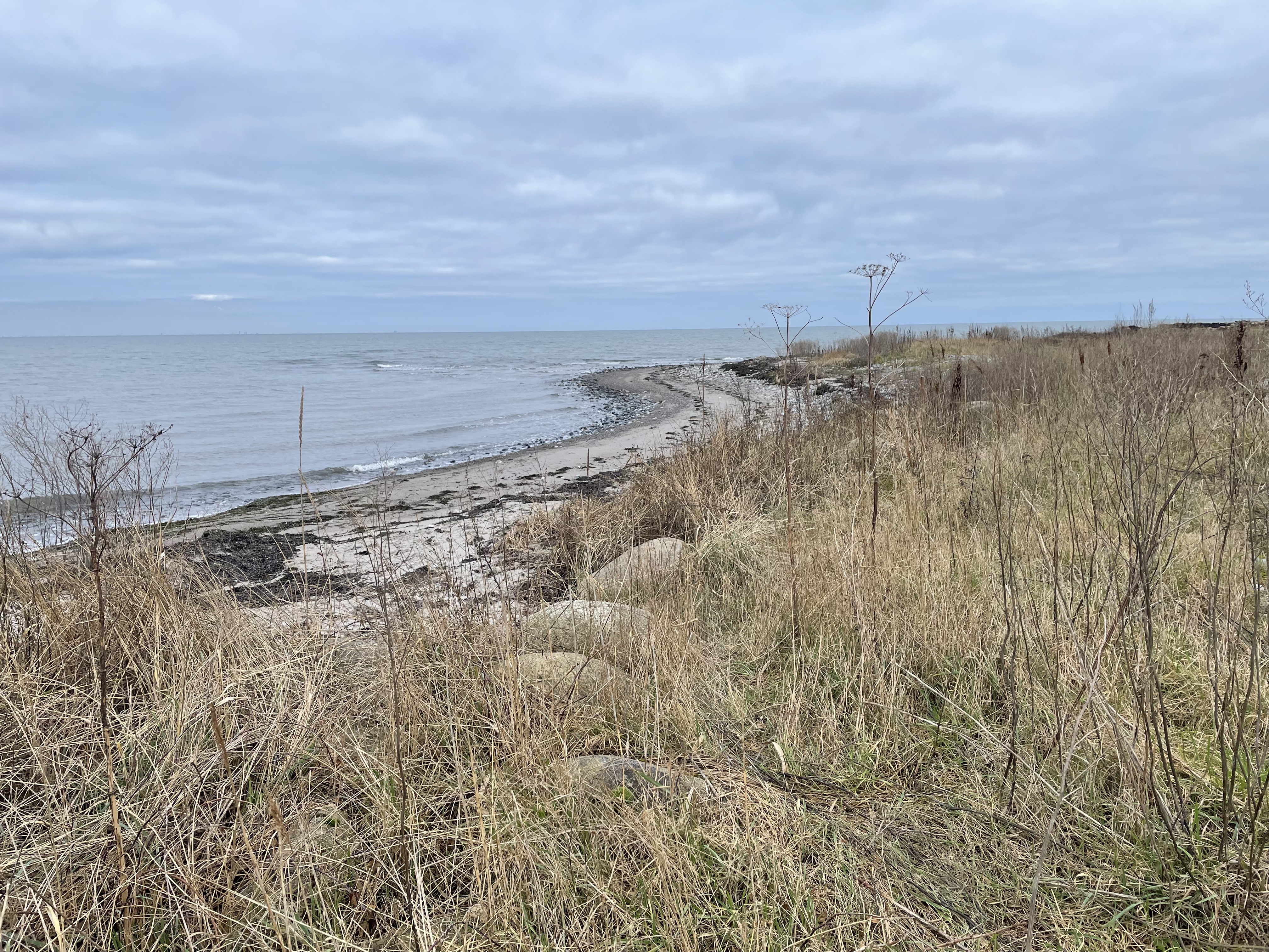 Weather and storm surge warnings