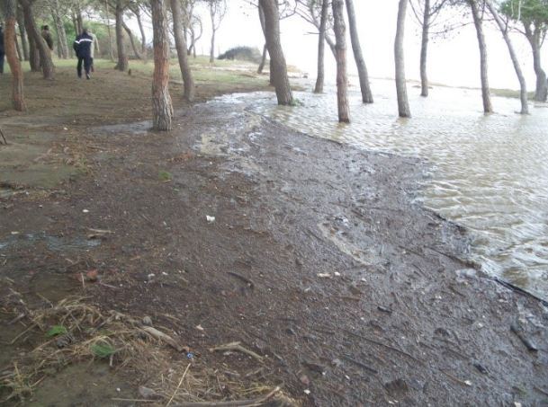 Effects of the October 2008 storm event.