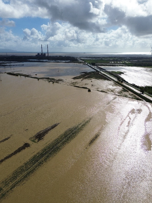 Land effects of the Cornia River flooding in October 2024